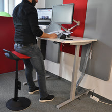 Lade das Bild in den Galerie-Viewer, Höhenverstellbarer Tisch elektrisch 120/80 oder 140/80