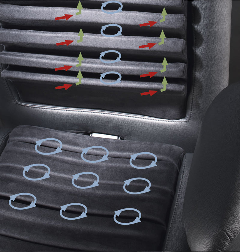 BIOSWING 780 iQ DETENSOR Echt-Leder mit Nackenstütze
