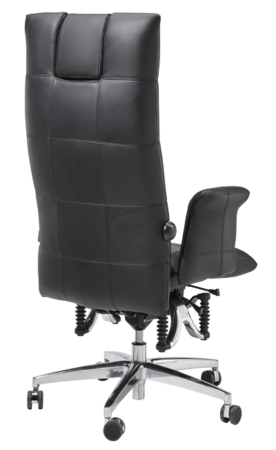BIOSWING 780 iQ Echt-Leder mit Nackenstütze