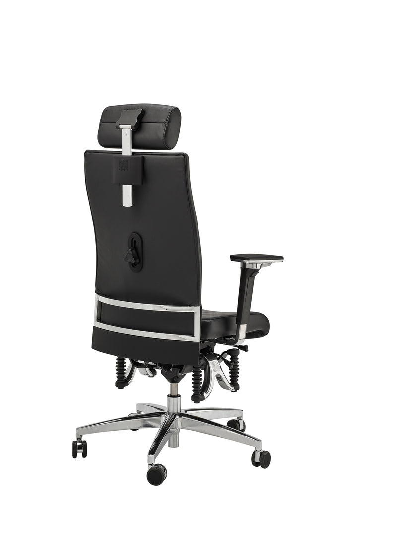 BIOSWING 660 iQ Echt-Leder mit Nackenstütze